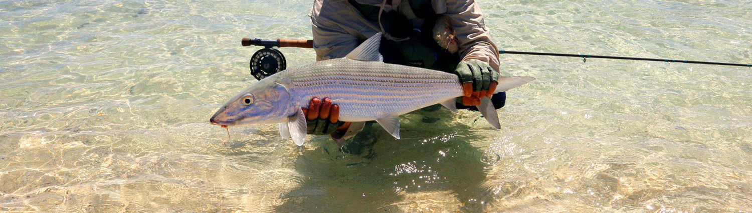fly fisherman crouching in shallow water of Aitutaki lagoon holding a bonefish