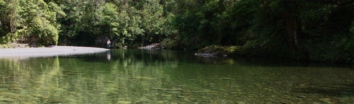 Fly fisherman casting in a calm shallow backcountry pool