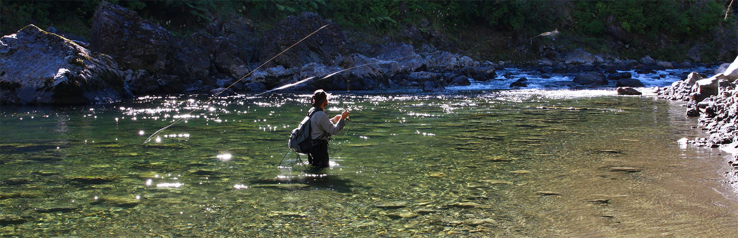 Fly fisherman casting line in a backcountry river, New Zealand