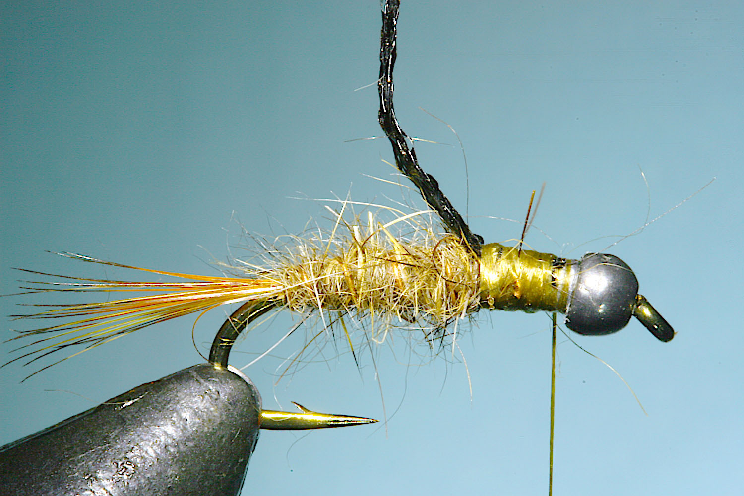 hare's mask darter fly pattern and tying steps