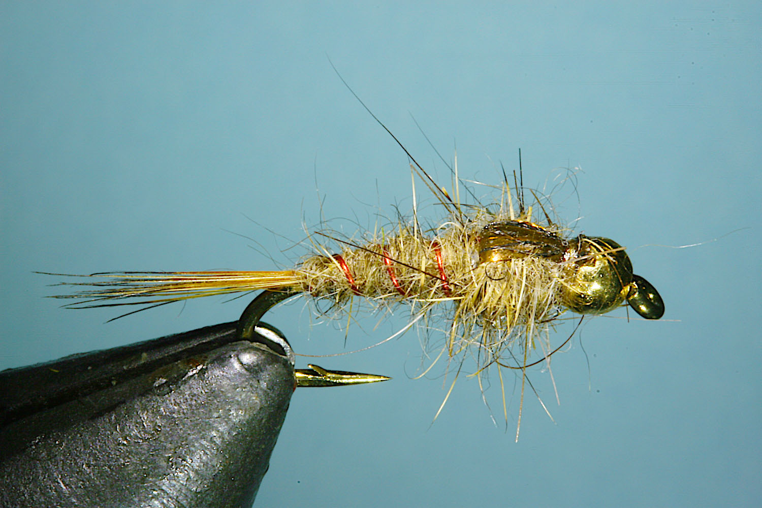 hare's mask darter fly pattern and tying steps
