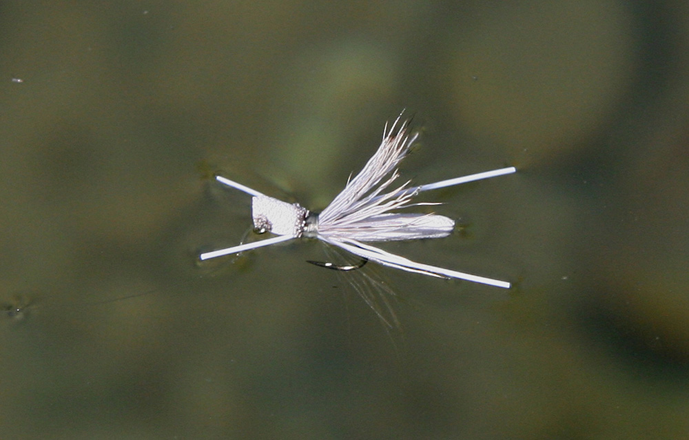 Showing step 1 of tying sequence for hot foam hopper fly pattern