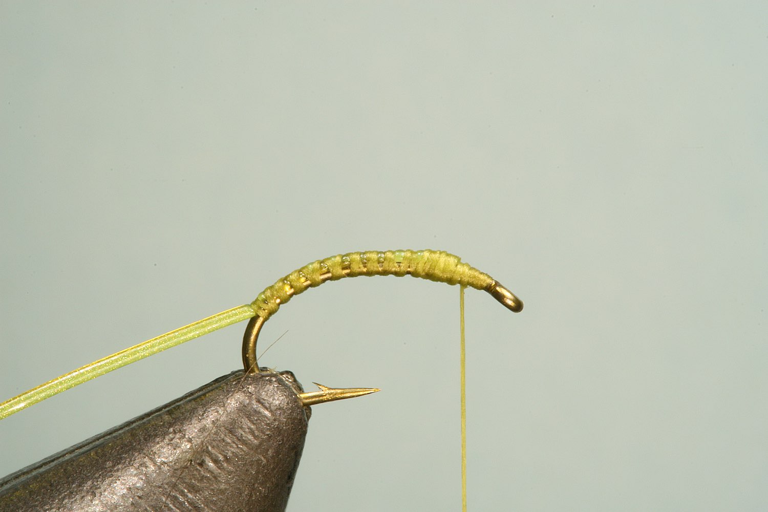 Step 1 of tying sequence for jelly bloodworm fly pattern
