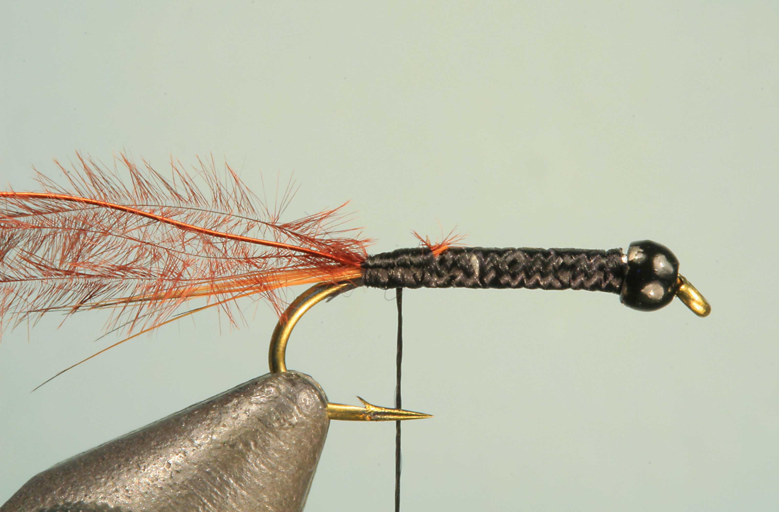 Jelly Leg Colly Tying Step 3