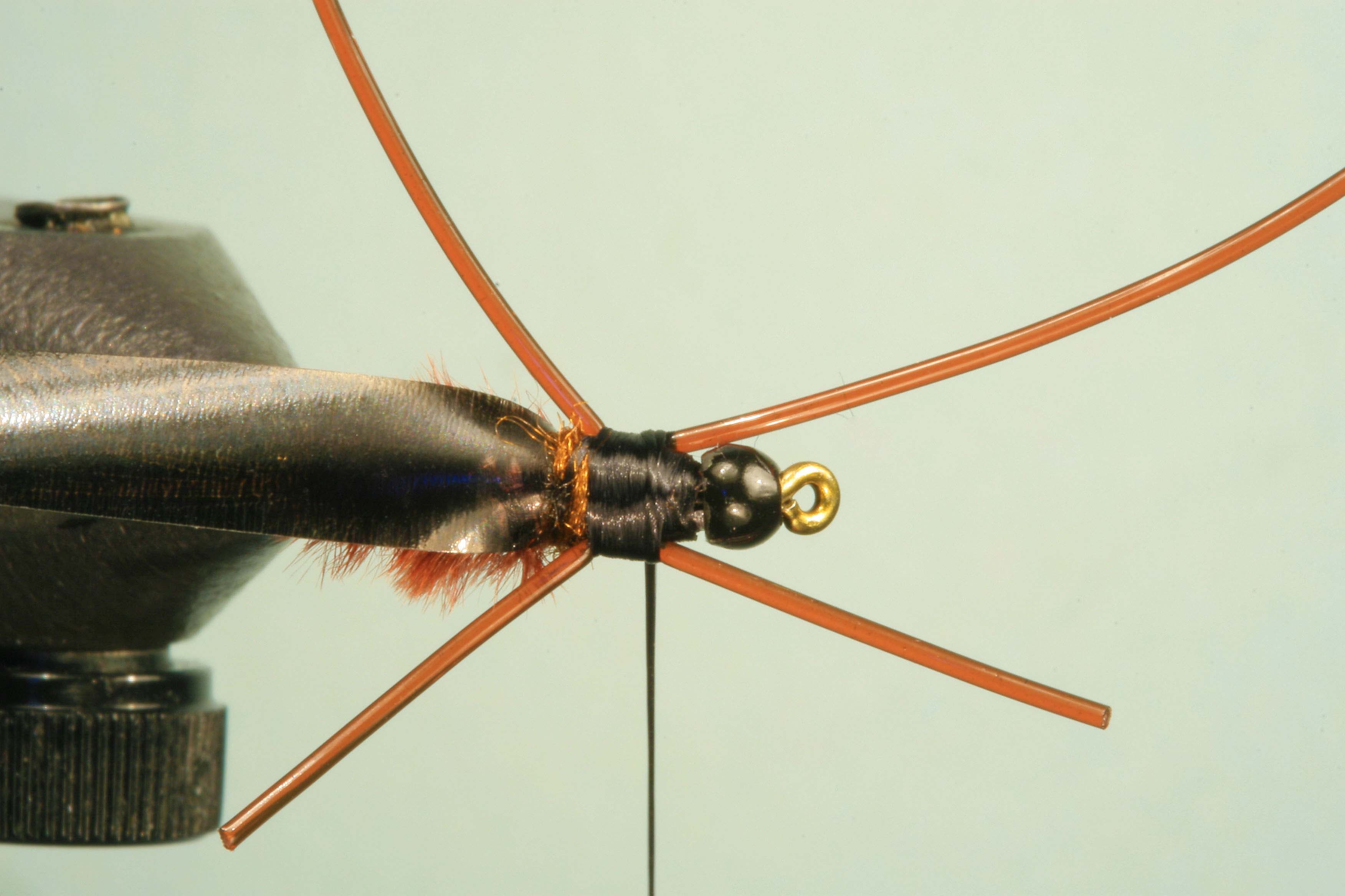Jelly Leg Colly Tying Step 6