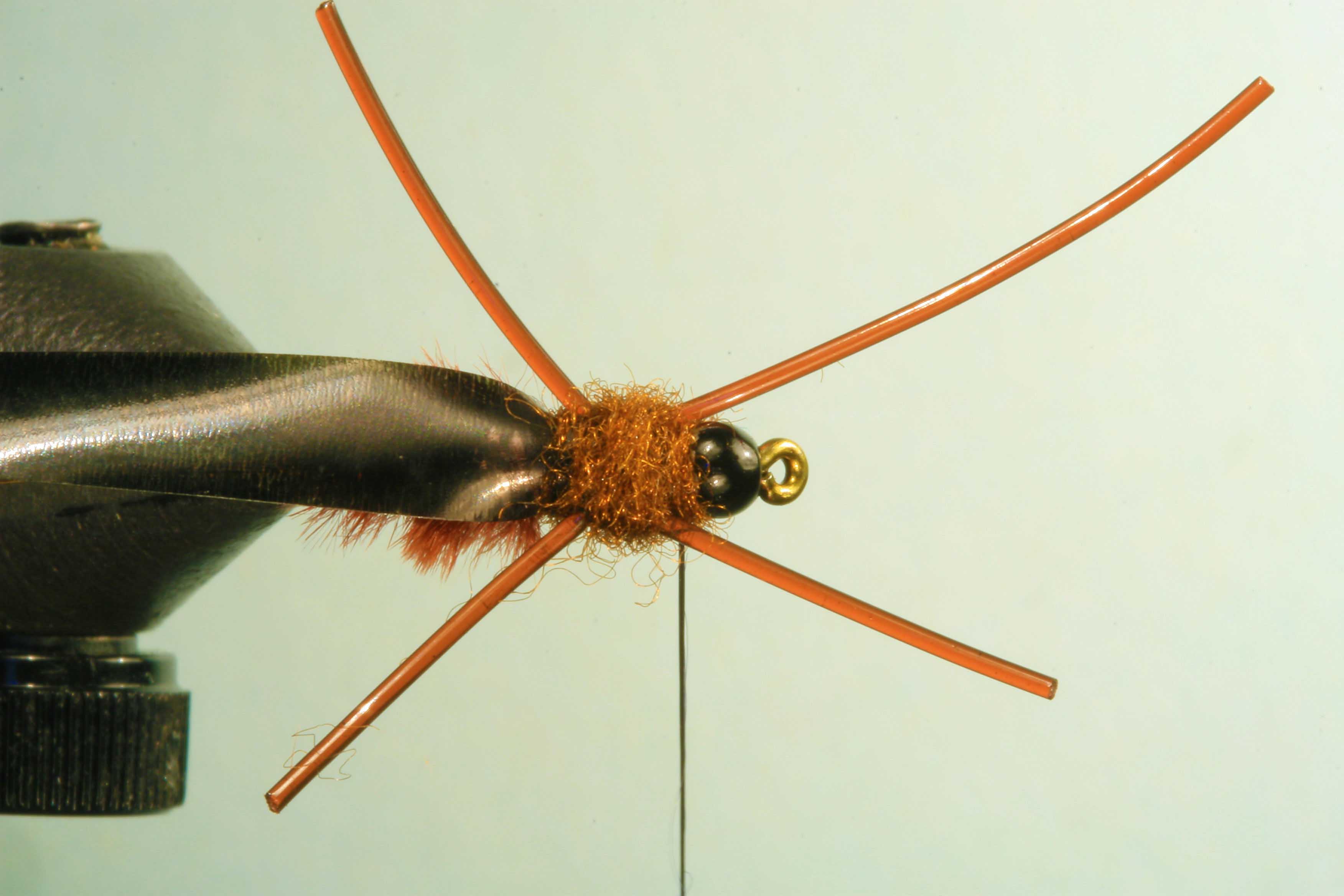 Jelly Leg Colly Tying Step 7