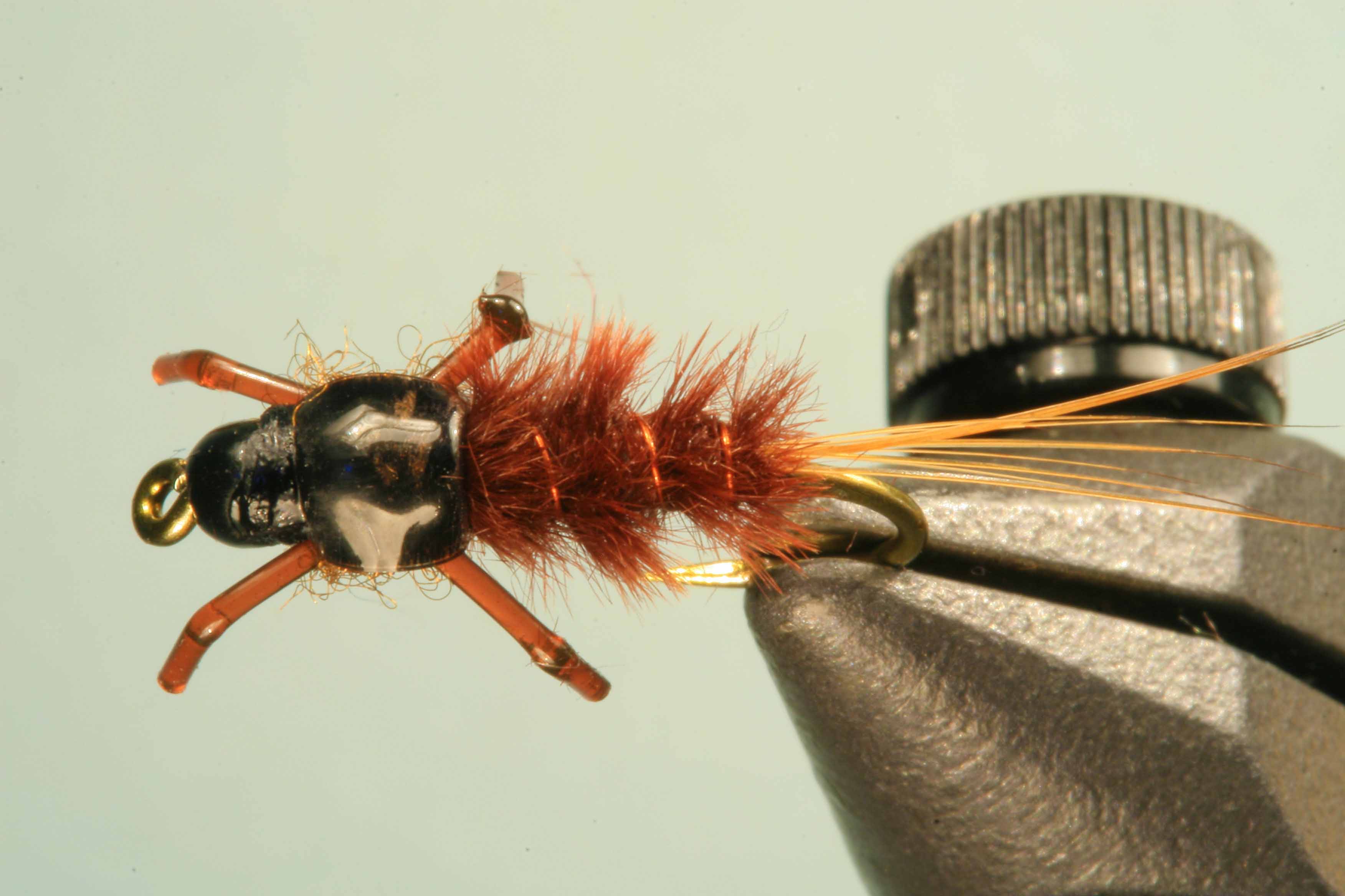 Jelly Leg Colly Tying Step 10