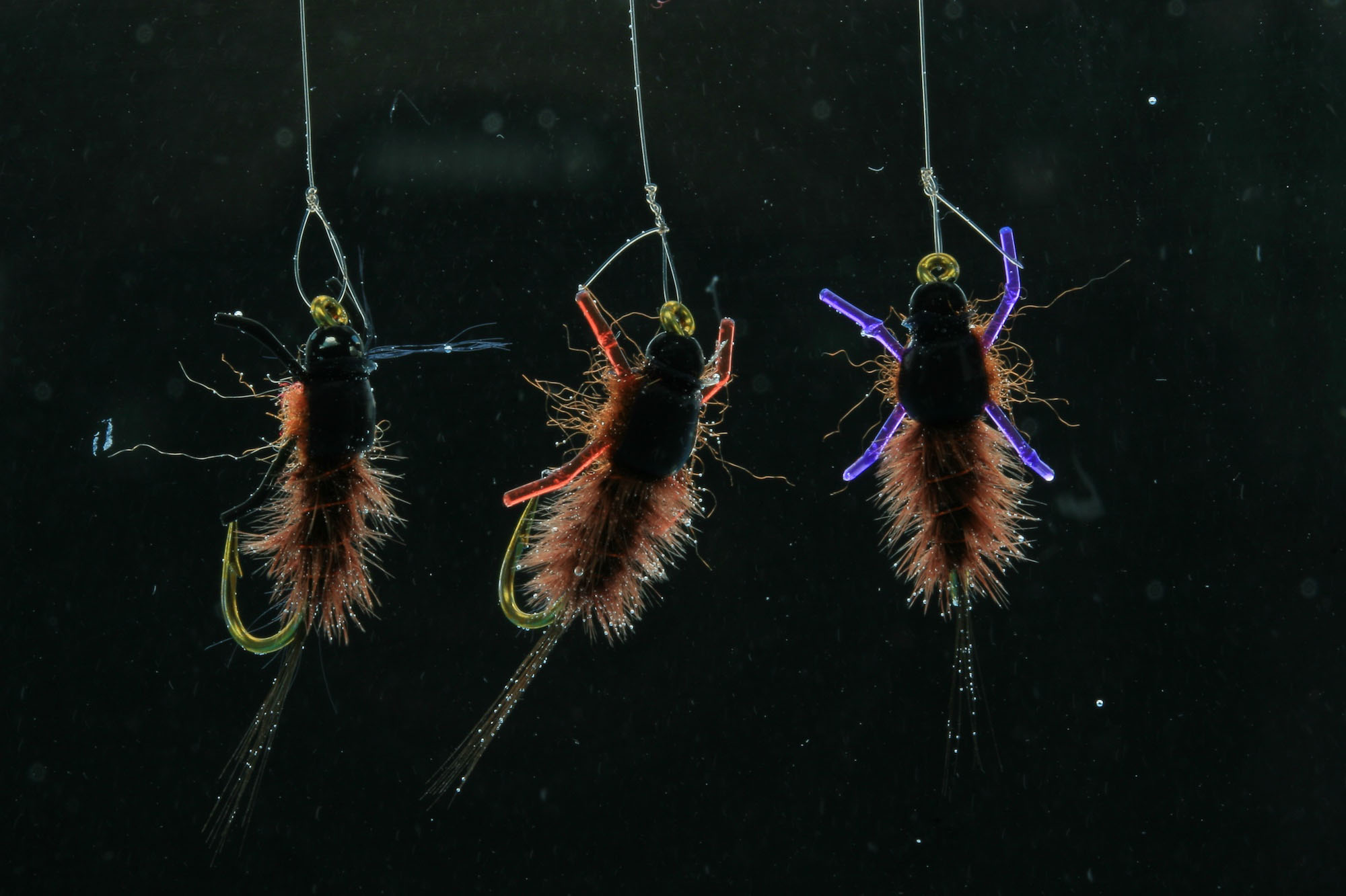 three Jelly Leg Colly flies hanging suspended in water, showing translucency on black background