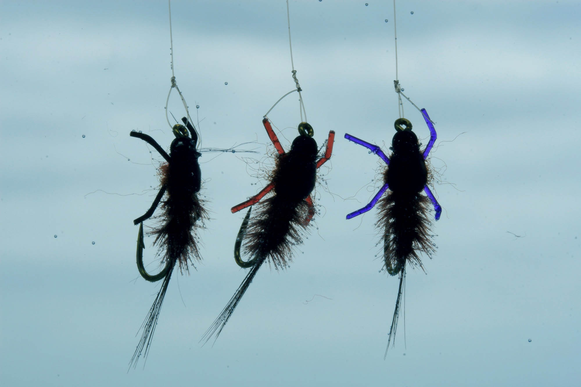 Three Jelly Leg Colly flies hanging suspended in water