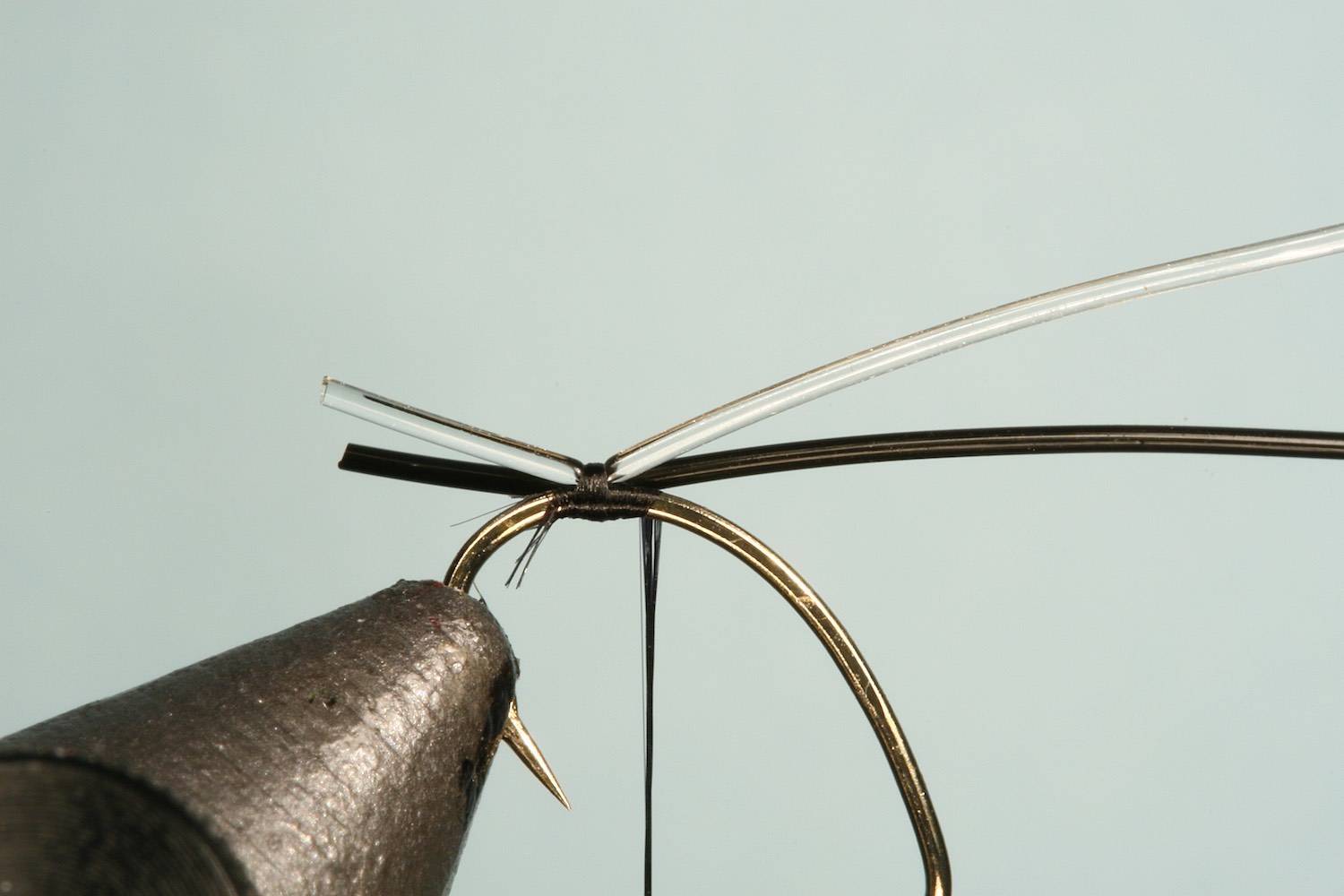 jelly midge fly pattern - typing step 1