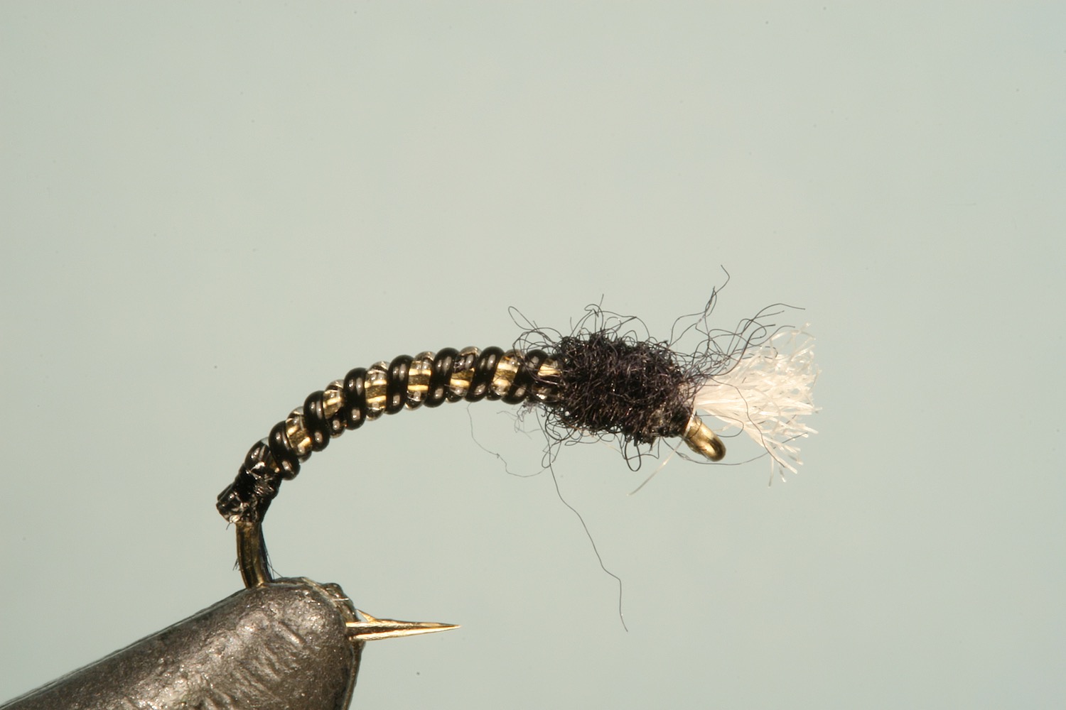 sparkle version of Zebra Jelly Midge fly