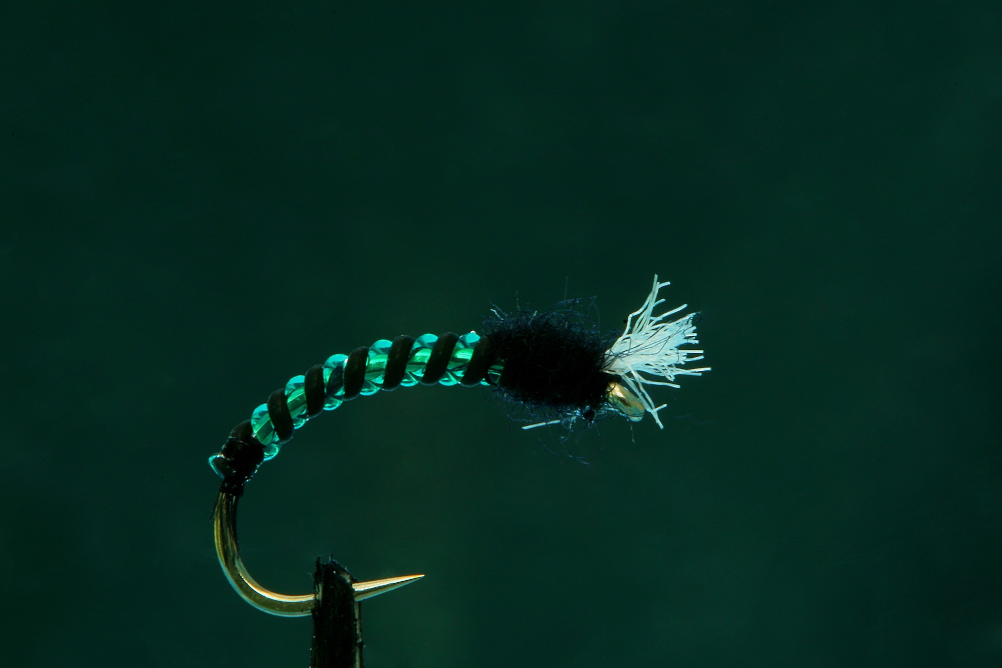 Green Jelly Midge version of Jelly Midge fly