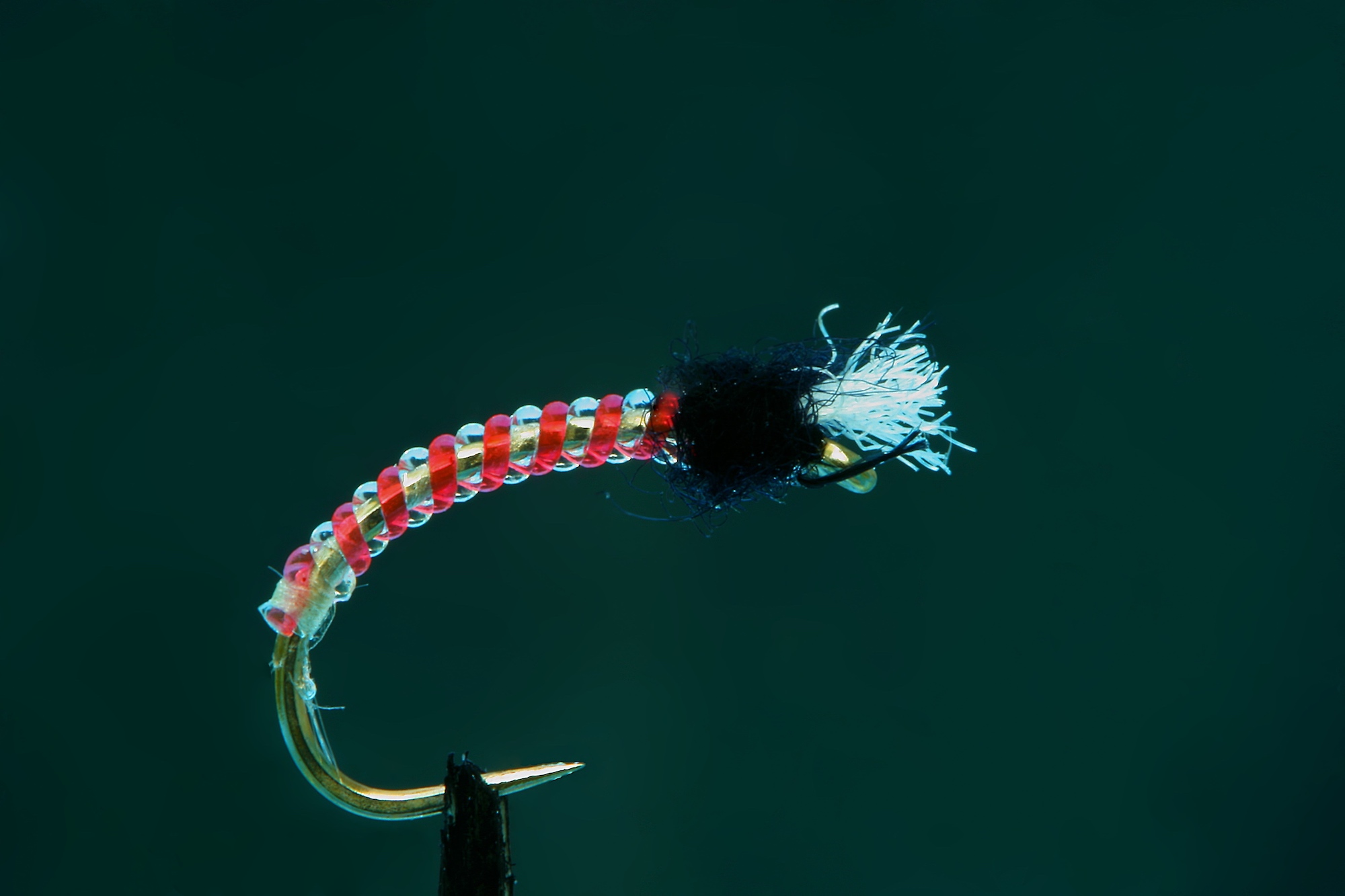 Red Jelly Midge version of Jelly Midge fly