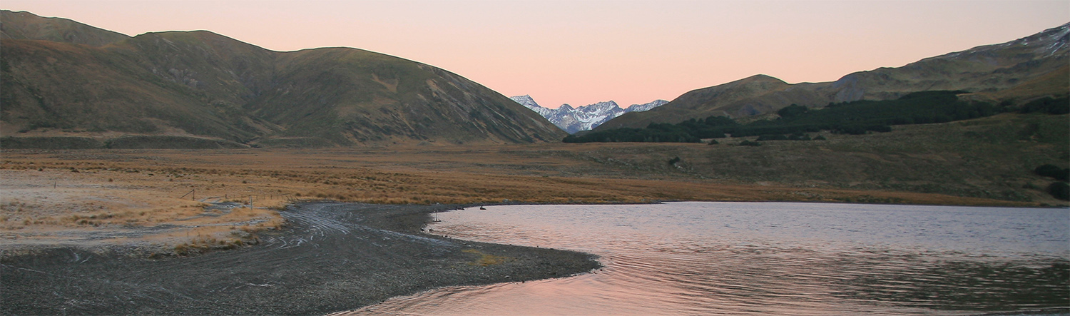 Lake Heron on a clear day at dusk. Pinkish silvery sky  reflecting on lake outlet, with flat tussock surrounds, and snow clad Southern alps in far distance seen between dark mountains