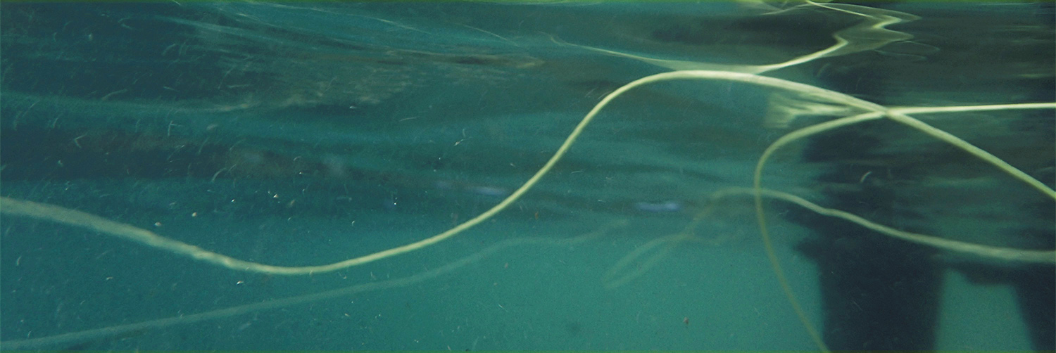 skagit fishing line underwater in river