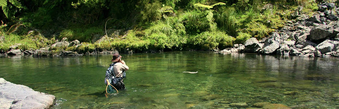 Fly fisherman with a trout on line, bending rod, on a backcountry river