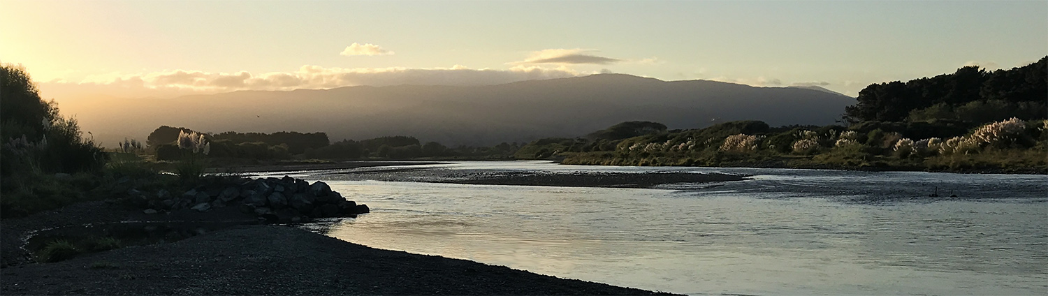 Spey casting on a North Island lowland river