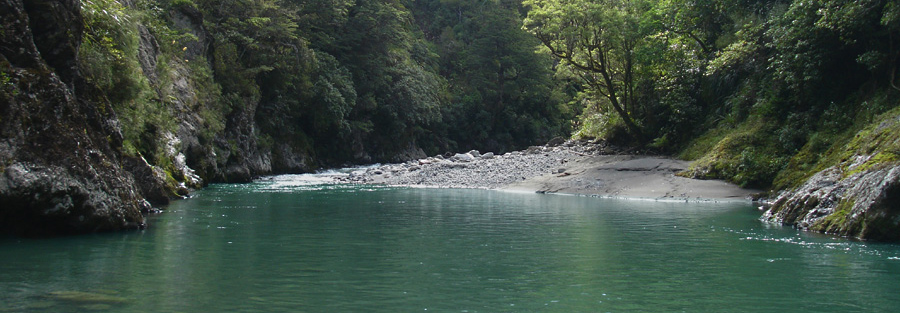 Tranquil pool on backcountry river, New Zealand