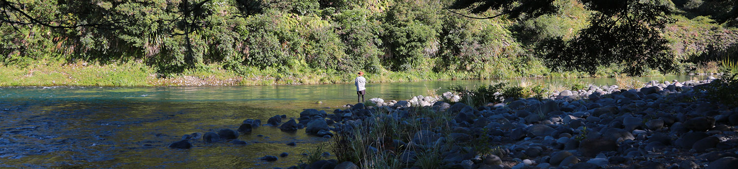 Fisherman fishing river pool flanked by trees 