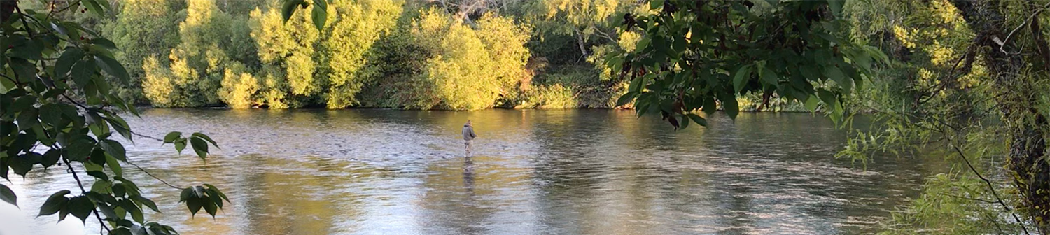 fisherman standing in river