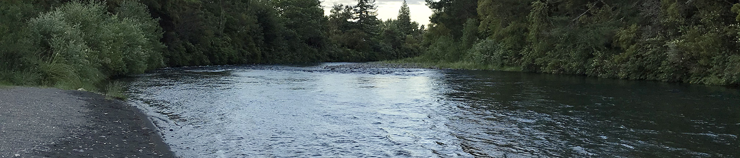 Tongariro River at dusk