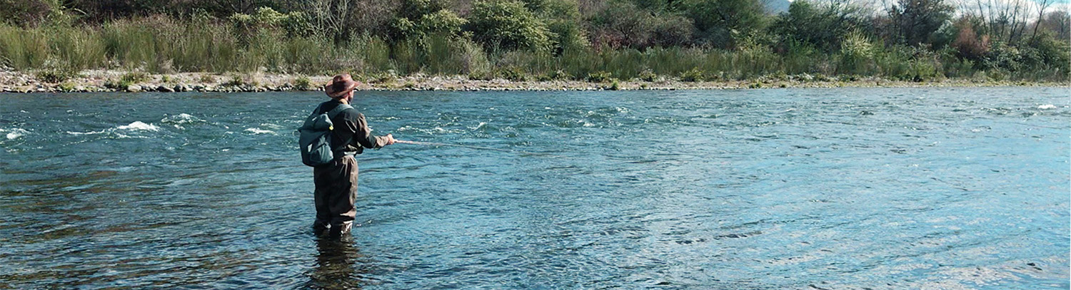 Trout spey on Tongariro River