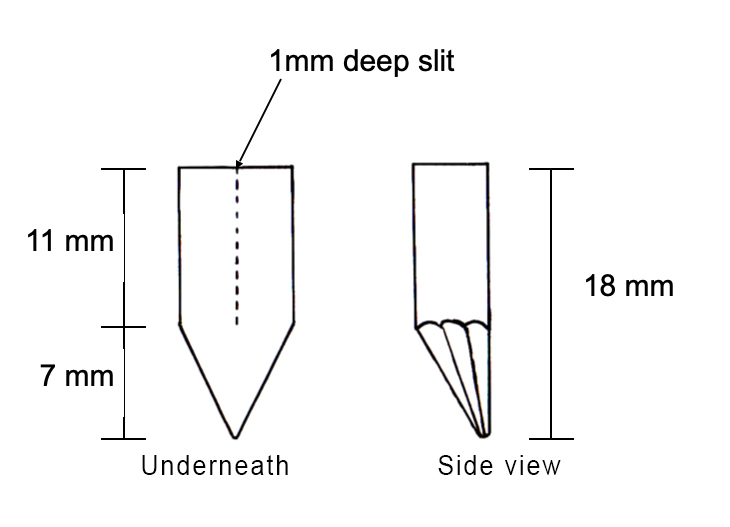 alt="Silicone Wing Cicada - Diagram for trimmimng foam abdomen for fly pattern"