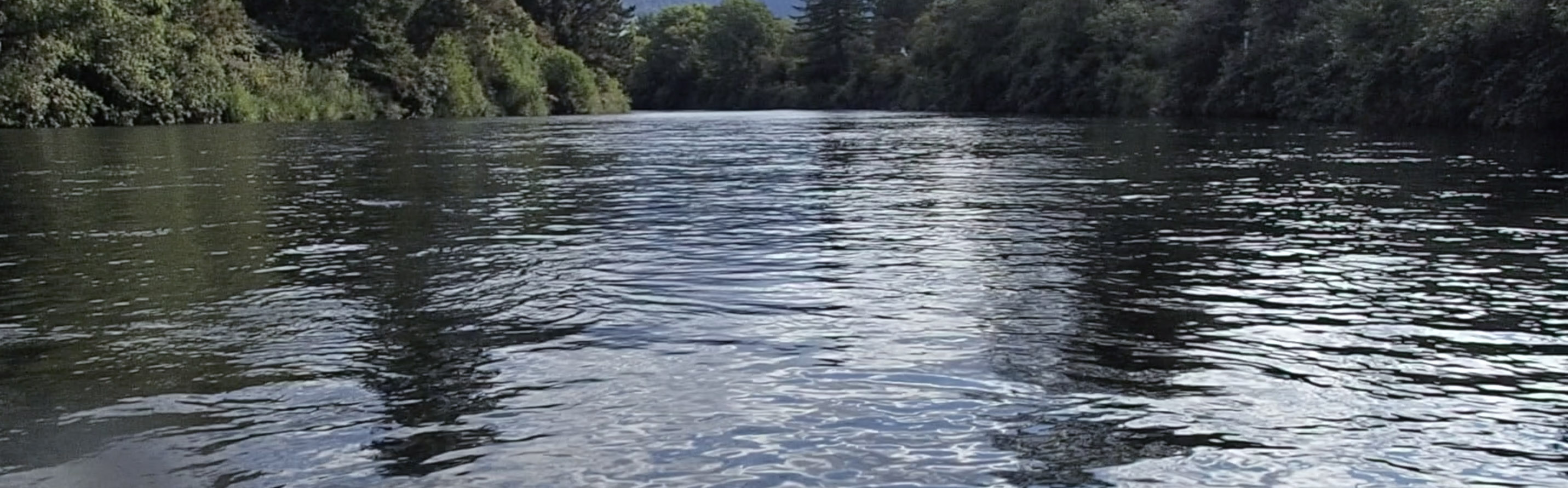 Silver reflections on Tongariro River