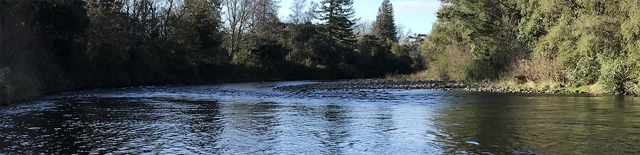 Tongariro River with silvery blue tones on flowing water