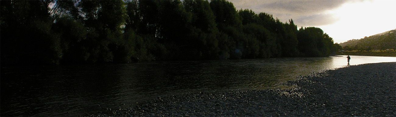 Fly fisherman at dusk with high bank of trees on right