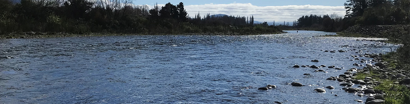 Wide view of Tongariro River with silvery blue light reflected on flowing water over small rocks in the shallows